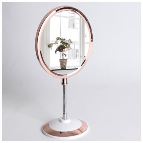 Зеркало настольное, на гибкой ножке, двустороннее, с увеличением, зеркальная поверхность 14 ? 17 см, .