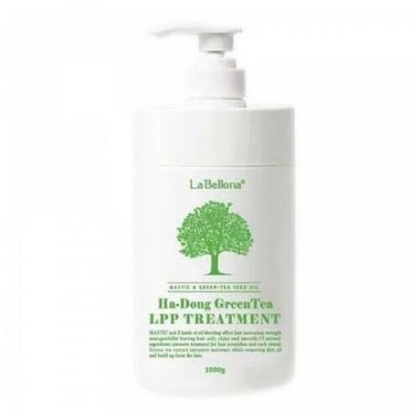 Лечебная мастика для волос Gain cosmetic Mastic Ha- Dong Green Tea Lpp Treatment