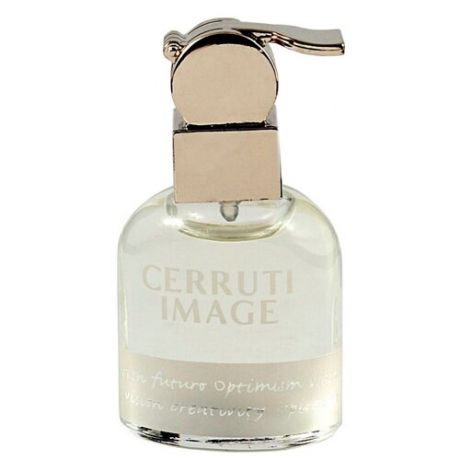 Cerruti Мужская парфюмерия Cerruti Image Pour Homme (Черутти Имаж Пур Хом) 100 мл