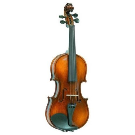 Скрипка размер 1/2 Gliga B-V012