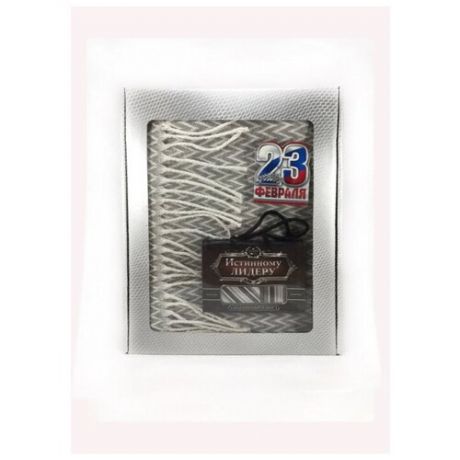 Комплект подарочный для мужчин на 23 февраля "Лидер" в чемодане (плед, набор: (галстук,платок), открытка)