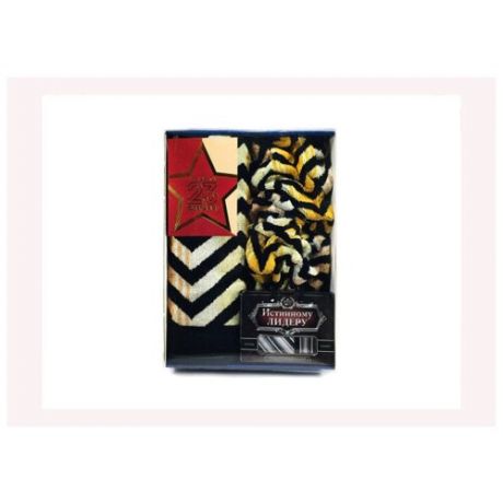 Комплект подарочный для мужчин на 23 февраля "Памятный-2" в коробке (Набор полотенец, открытка, набор: галстук , платок)