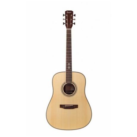 Акустическая гитара Prima DSAG205
