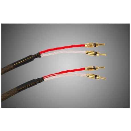 Tchernov Cable Reference DSC SC Bn/Bn (1.65 m)