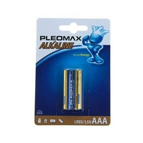 Samsung Pleomax Батарейки Samsung Pleomax AAA 2 шт LR03-2BL
