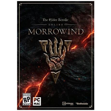 Игра для PlayStation 4 The Elder Scrolls Online: Morrowind, английский язык