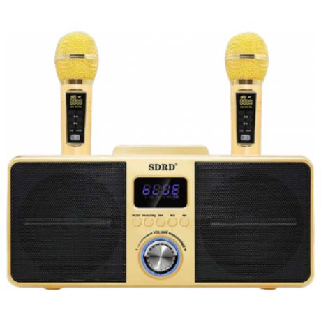SDRD SD-309 (золотой) - bluetooth колонка-караоке с двумя беспроводными микрофонами, онлайн караоке, USB, AUX, увеличенная мощность 30Вт