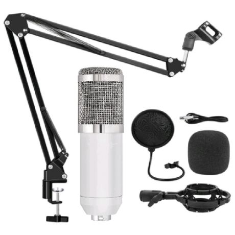 Микрофон студийный конденсаторный BM 800 белый / С Поп фильтром / креплением к столу / XLR кабелем / USB звуковой картой