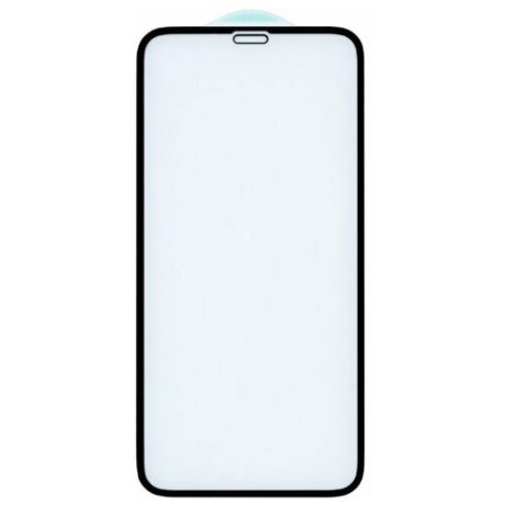 Защитное стекло Vixion для APPLE iPhone X / XS / 11 Pro 6D Black GS-00006307