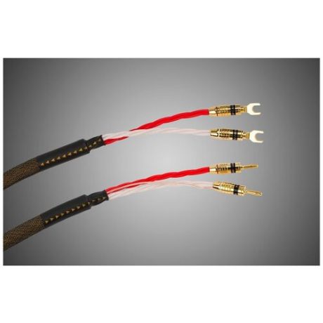 Tchernov Cable Reference DSC SC Sp/Bn (2.65 m)
