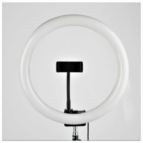 Осветитель FST LED 12-RL светодиодный кольцевой