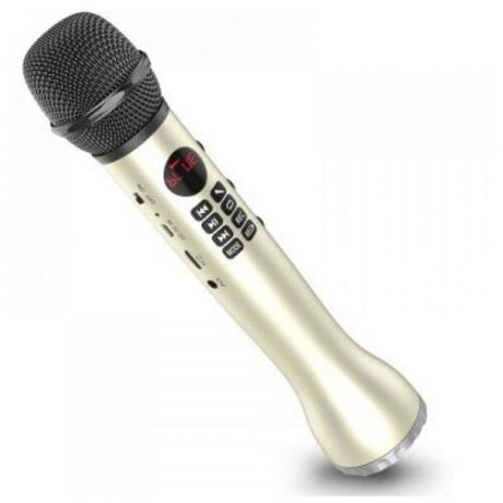 Профессиональный караоке-микрофон L-598 9W золотой