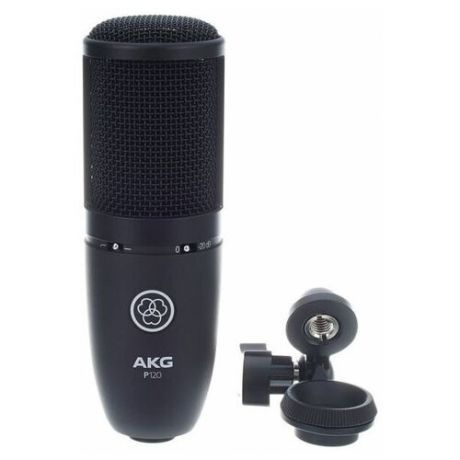 AKG P120 микрофон студийный, кардиоидная направленность, цвет черный