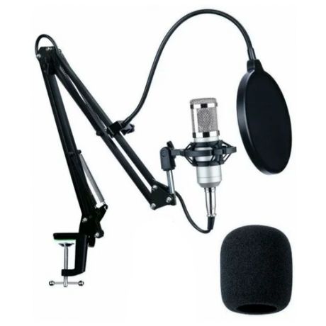 Студийный конденсаторный микрофон BM-800 ( Серебро )