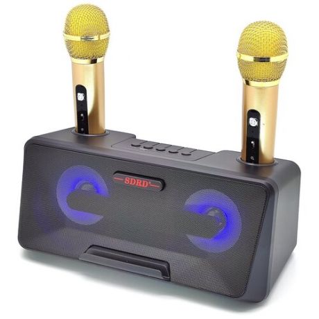 Караоке система с двумя микрофонами SDRD SD-301 / Колонка