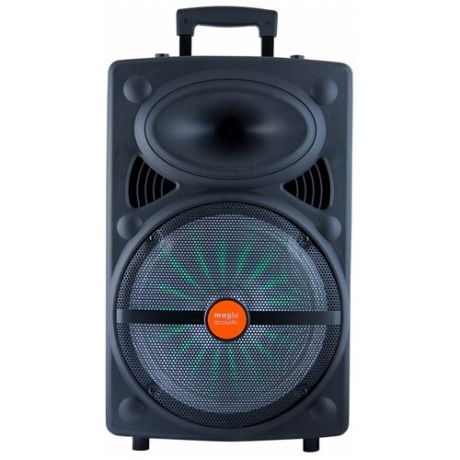 Портативная акустика Magic Acoustic BK1005 GENESIS