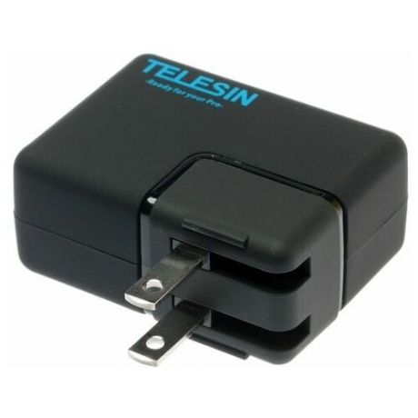 Зарядное устройство TELESIN с двумя USB портами