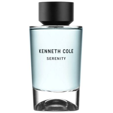 Туалетная вода Kenneth Cole Serenity 100 мл.