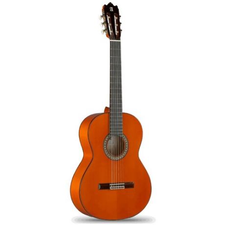 Классическая гитара Alhambra 8.209