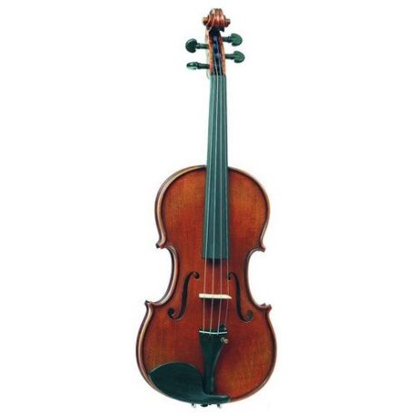 Скрипка Gliga P-V044-F
