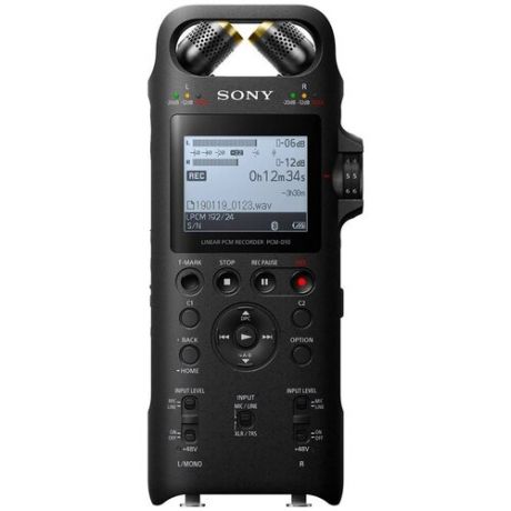 Портативный рекордер Sony PCM-D10 черный
