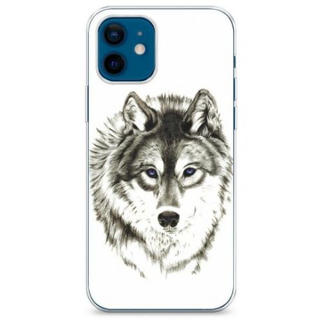 Силиконовый чехол "Волк с голубыми глазами" на Apple iPhone 12 mini / Айфон 12 Мини