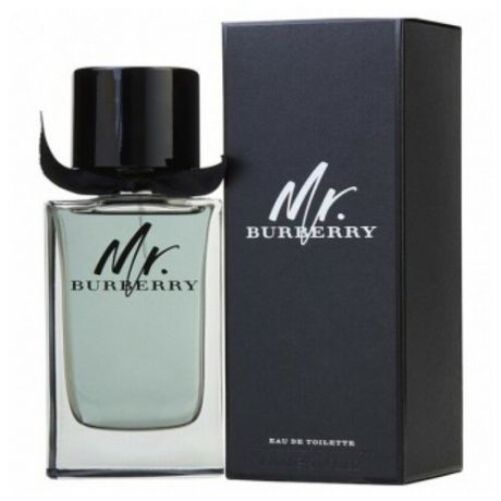 Туалетная вода Burberry Mr. Burberry, 100 мл