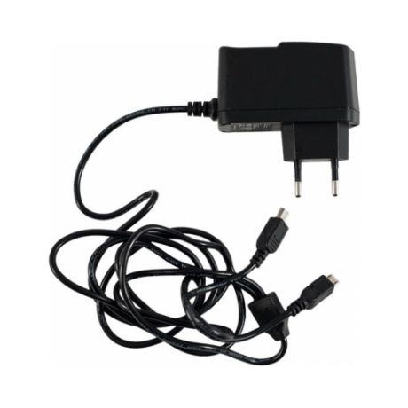 Универсальное сетевое зарядное устройство KS-IS Mich (KS-003) , для мобильных устройств Micro USB + Mini USB, 5V, 2000мА, RTL