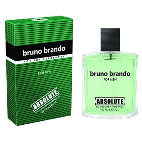 Today Parfum Мужской Absolute Bruno Brando Туалетная вода (edt) 100мл