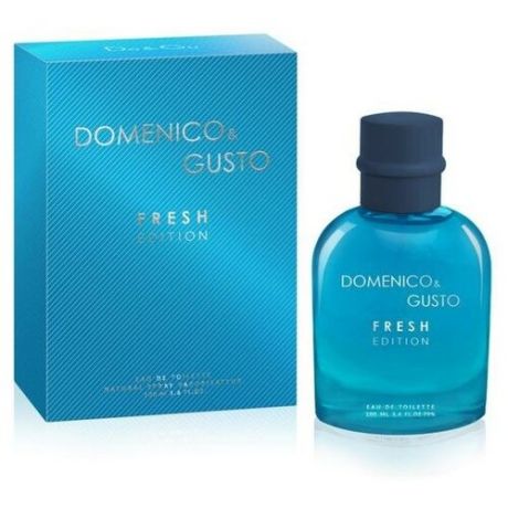Туалетная вода мужская Domenico&Gusto Fresh Edition, 100 мл
