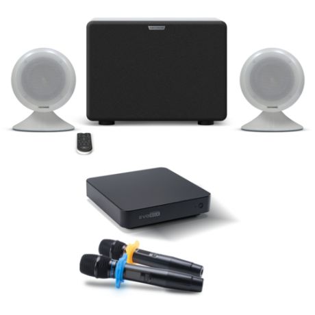 Караоке- комплект EVOBOX Plus с микрофонами и стереосистемой