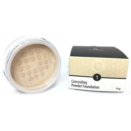 Anna Lotan Пудра Concealing Powder Foundation 201 (1) Natural