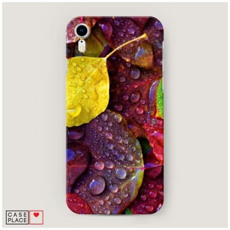 Чехол Пластиковый iPhone XR (10R) Осенние листья