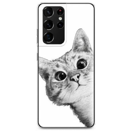 Силиконовый чехол "Коты черно-белые" на Samsung Galaxy S21 Ultra / Самсунг Галакси S21 Ультра
