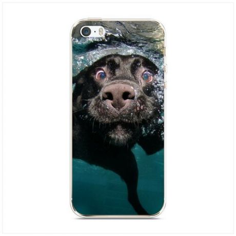 Силиконовый чехол "Собака в ошейнике" на Apple iPhone 5/5S/SE / Айфон 5/5S/SE