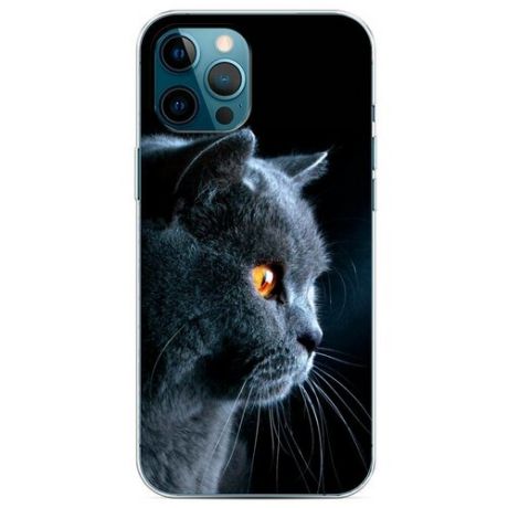 Силиконовый чехол "Мистический кот" на Apple iPhone 12 Pro Max / Айфон 12 Про Макс