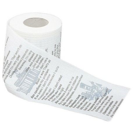 Сувенирная туалетная бумага "Русско-английский разговорник". часть 2. мини. 9х10х9 см 437938