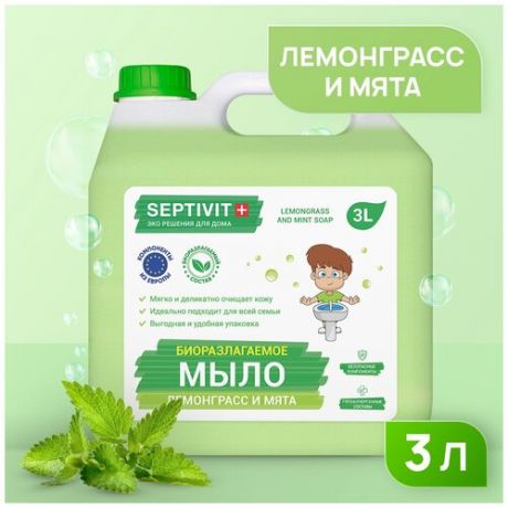 Жидкое мыло для рук SEPTIVIT Premium / Мыло туалетное жидкое Септивит / Гипоаллергенное, детское мыло / Лемонграсс и мята, 3 литра (3000 мл