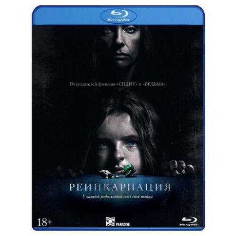 Реинкарнация + артбук (Blu-ray)