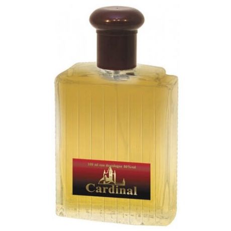 Одеколон Parfum Eternel Cardinal, 100 мл
