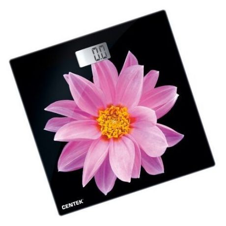 Весы CENTEK CT-2416 PINK FLOWER черно-розовый