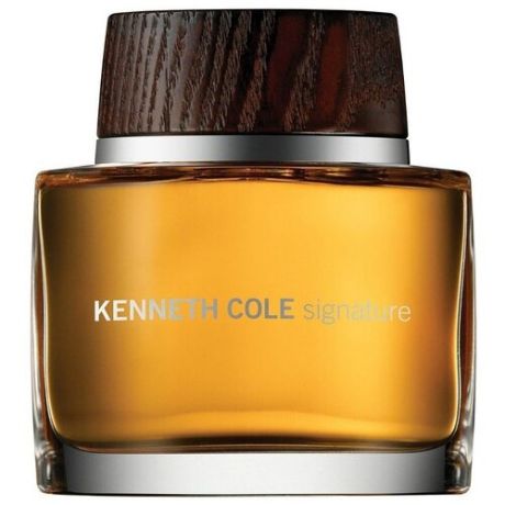 Туалетная вода KENNETH COLE Signature, 100 мл