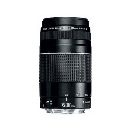 Объектив Canon EF 75-300mm f/4.0-5.6 ||| USM