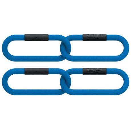 Цепи для фитнеса 2 кг Reax Chain Two - PT CAN, цвет синий