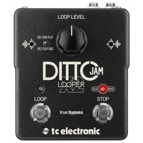 TC Electronic Ditto JAM X2 Looper интуитивный лупер с технологией BeatSense