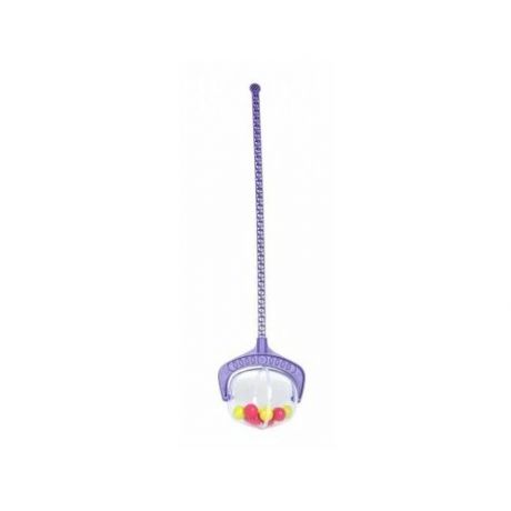 Каталка-игрушка Росигрушка Шарик (9278/9279/9277) фиолетовая