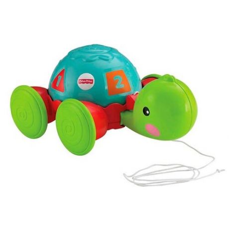 Каталка-игрушка Fisher-Price Черепашка (Y8652) голубой/зеленый