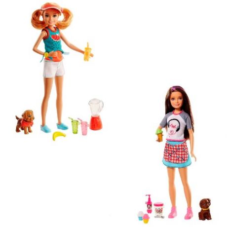 Кукла Barbie Сёстры и щенки, 23 см, FHP61 Скиппер