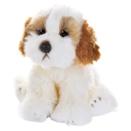 Мягкая игрушка MaxiLife Собака Кавашон, 30 см