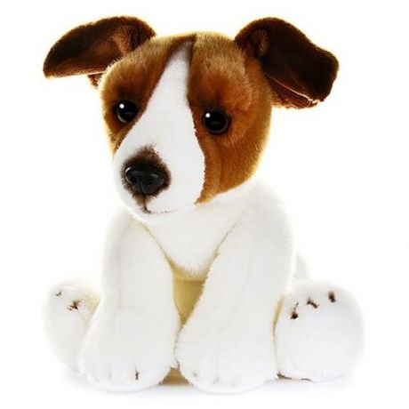 Мягкая игрушка «Собака Джек Рассел», 30 см